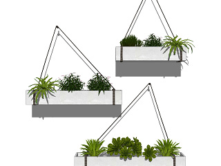 现代吊挂植物盆栽组合