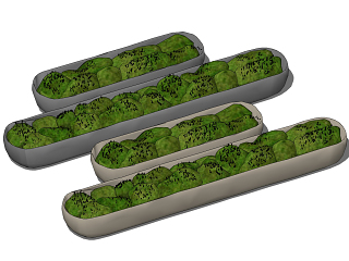 现代苔藓盆栽，花槽，植物绿植