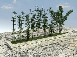 中式+竹子植物