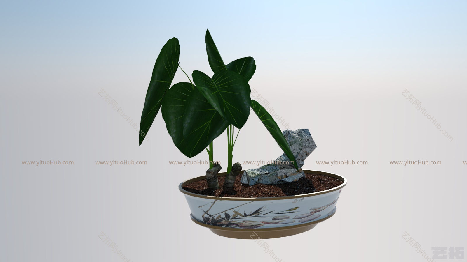 SU3D模型—植物滴水观音