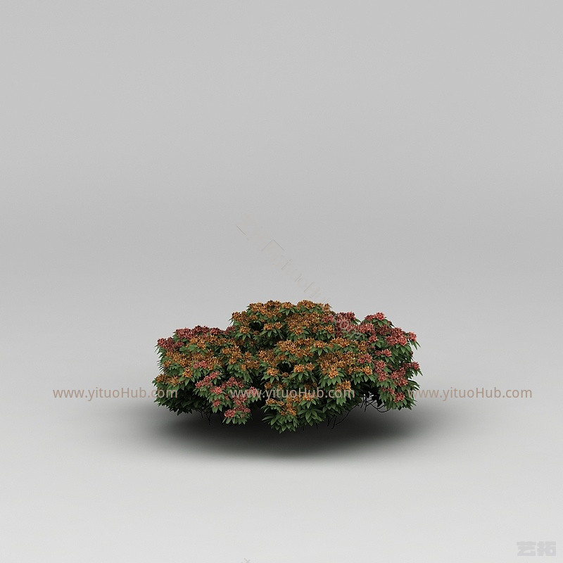 现代植物花草绿植模型