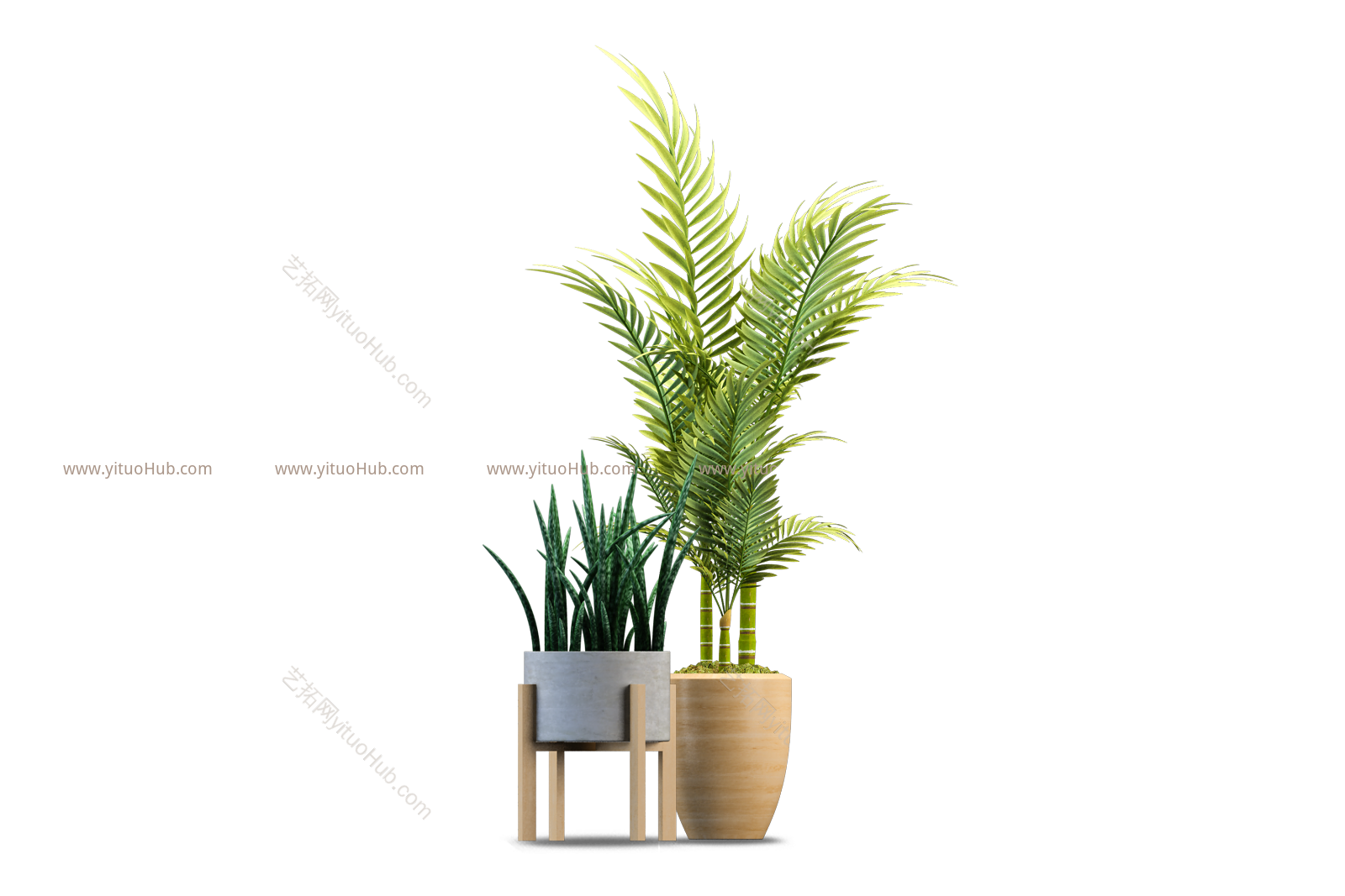 盆栽植物