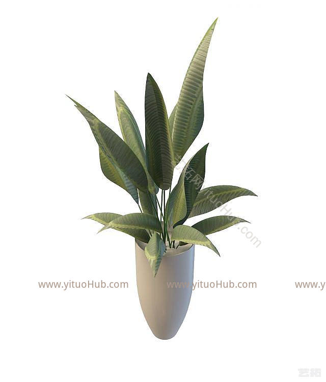 现代盆栽花瓶模型