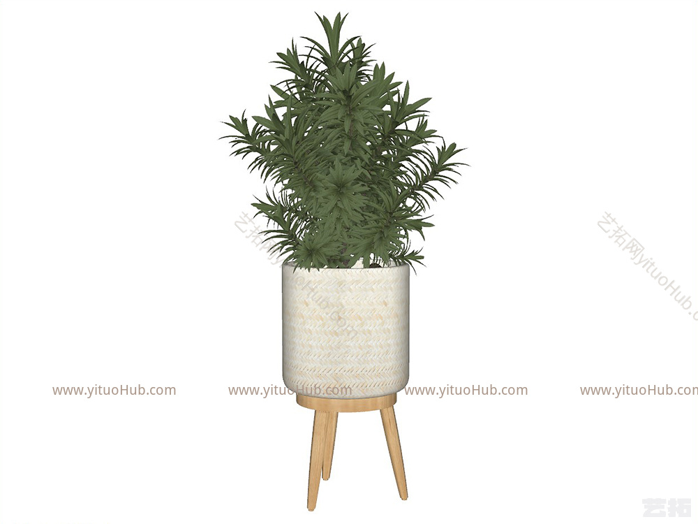 盆栽植物