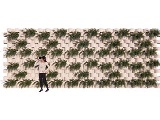 现代植物组合