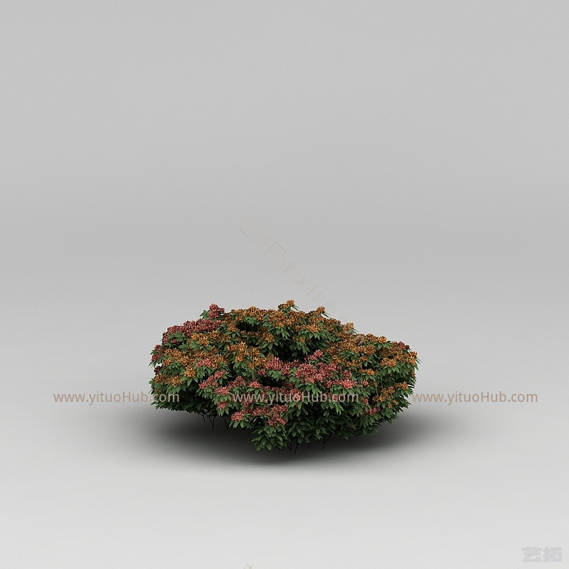 现代植物花草绿植模型
