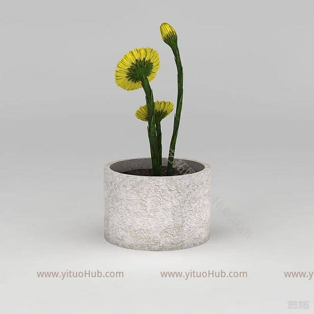 现代黄色小花盆栽模型