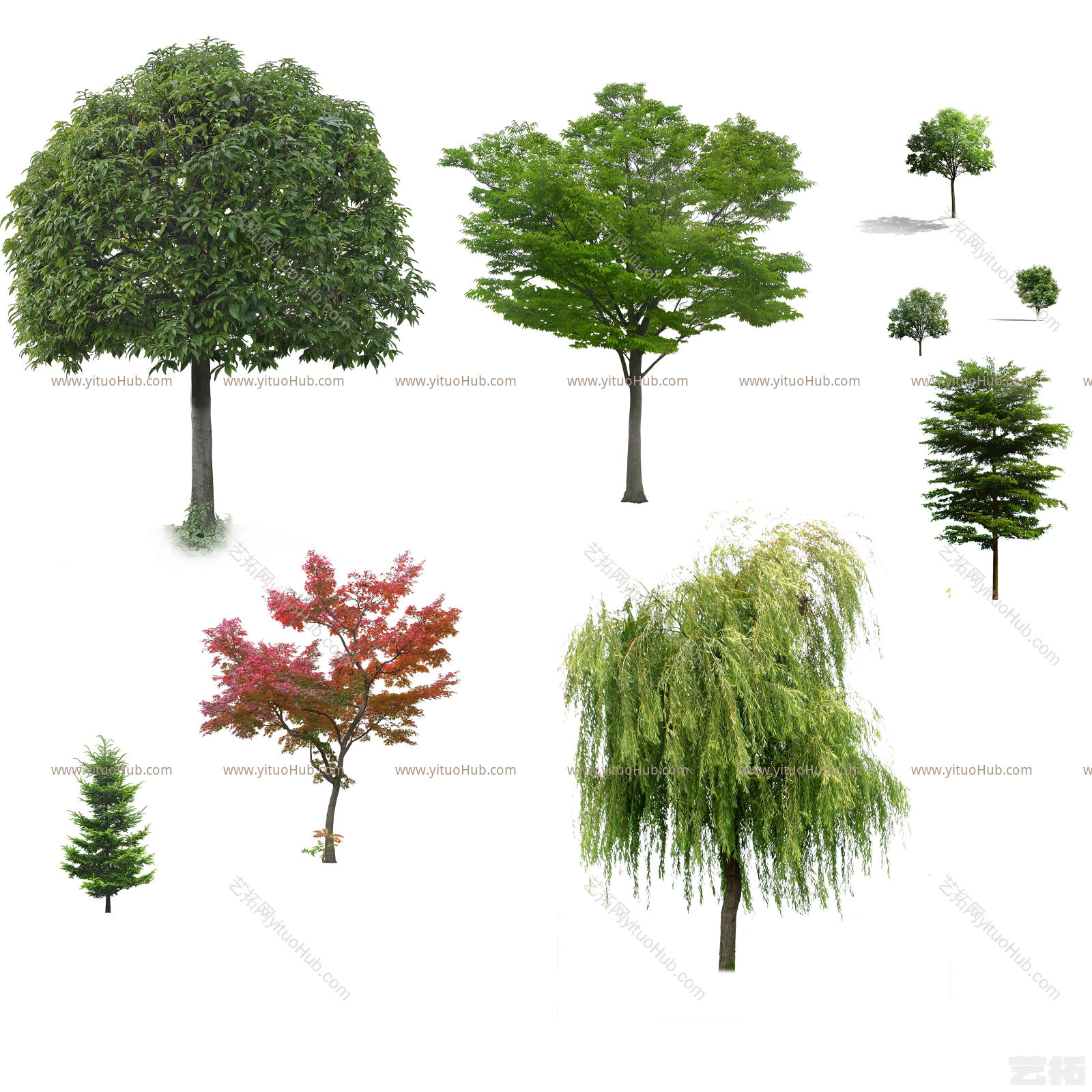 立面植物素材