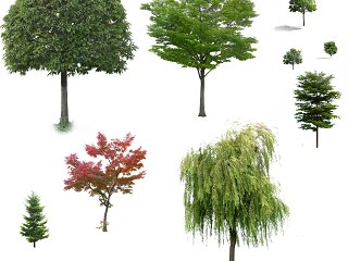 立面植物素材