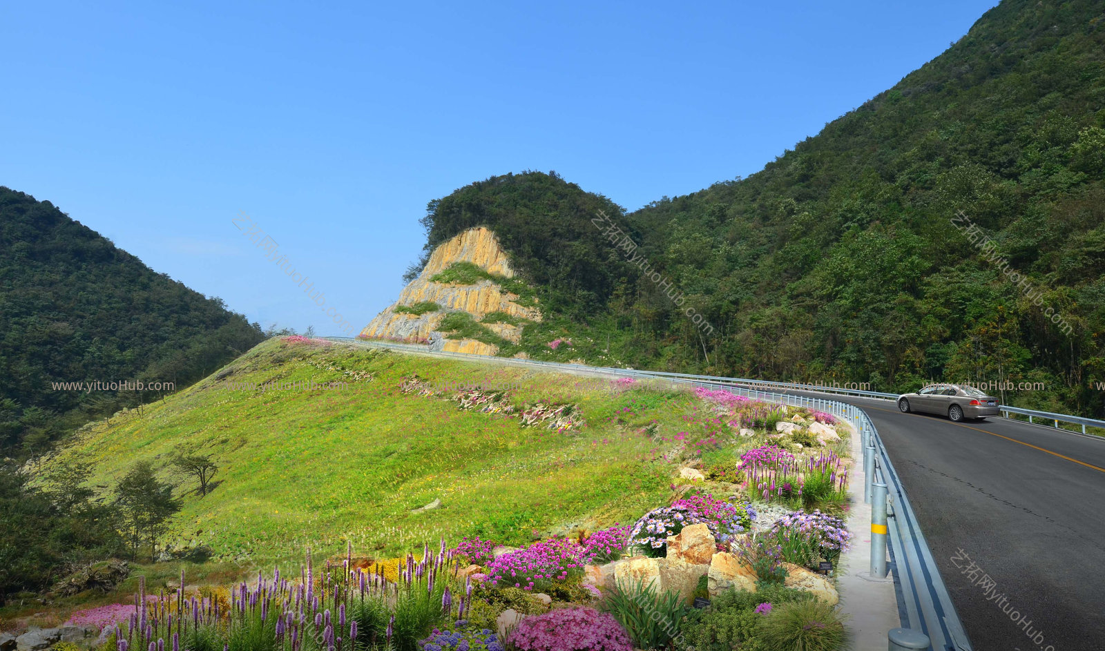 公路道路花境植物组团景观效果图
