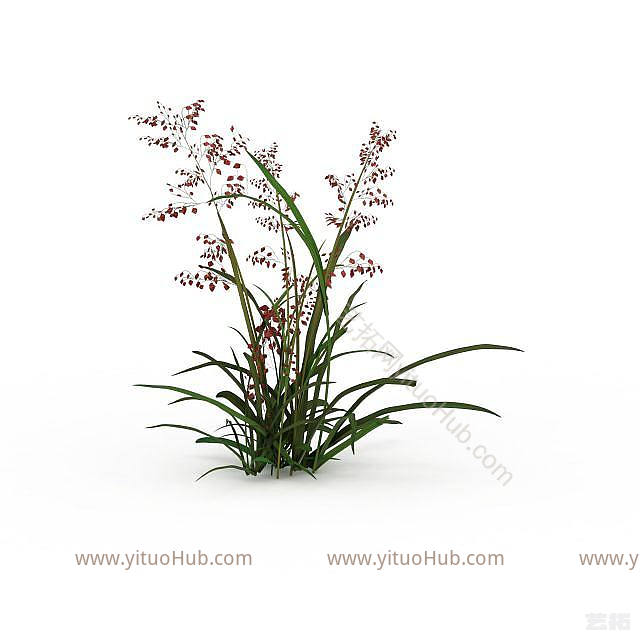 现代绿草模型