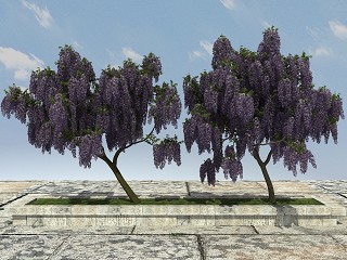 现代景观开花植物模型