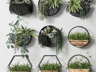 现代绿植挂件