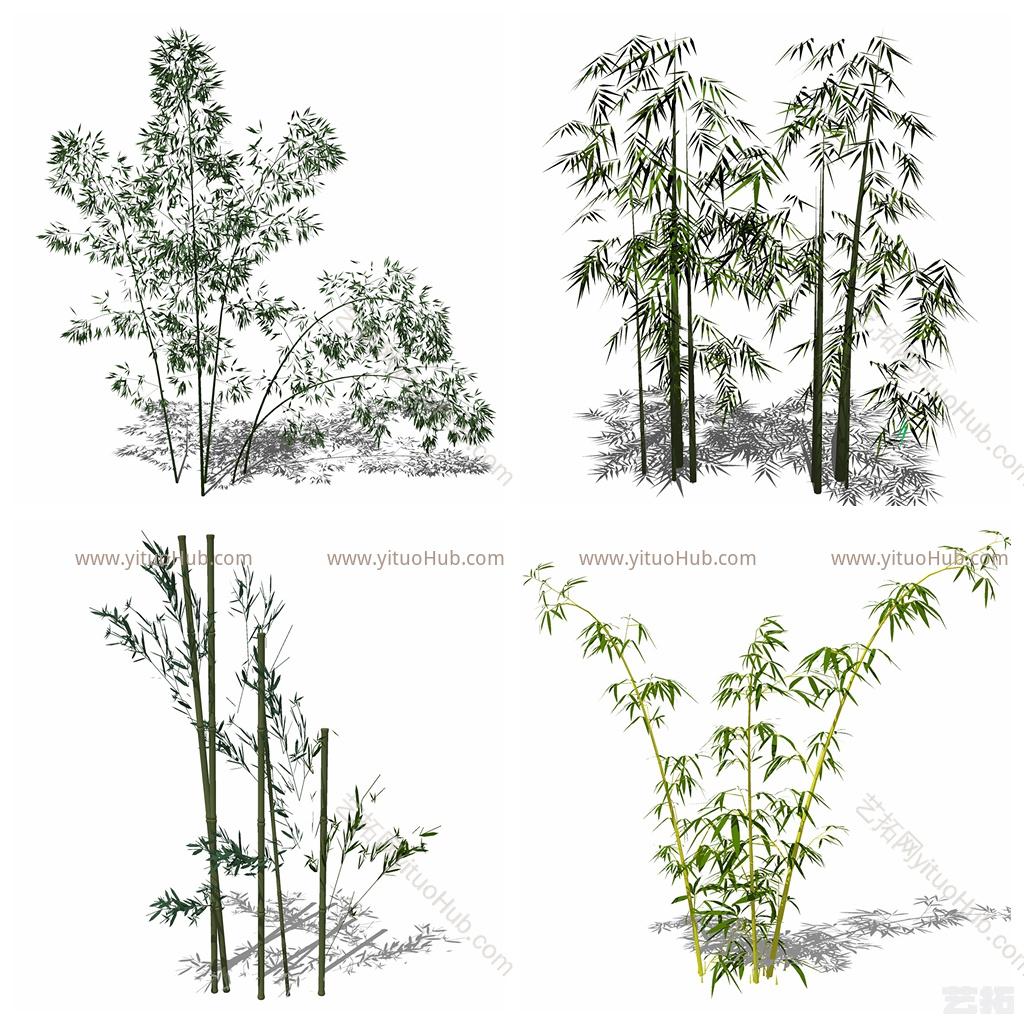 现代花草 绿植