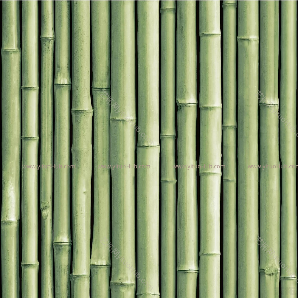 现代白桦林壁纸壁布 (1)