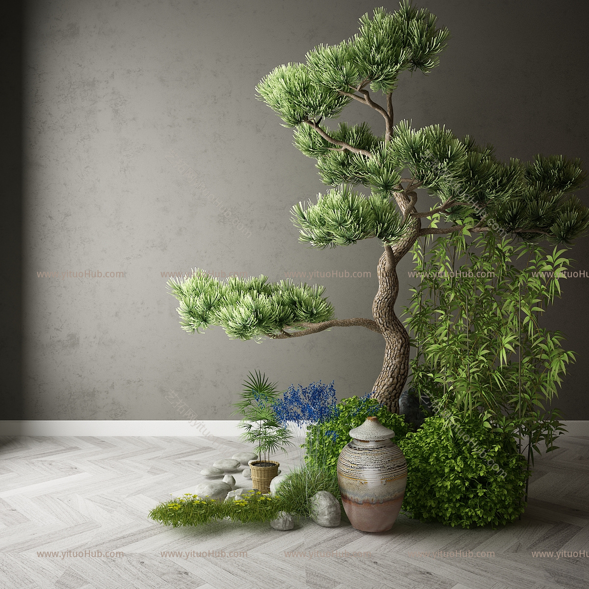现代植物花卉
