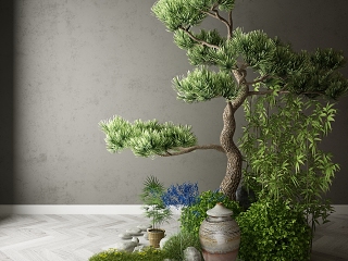 现代植物花卉