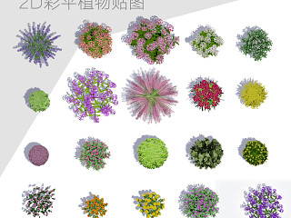 彩平植物