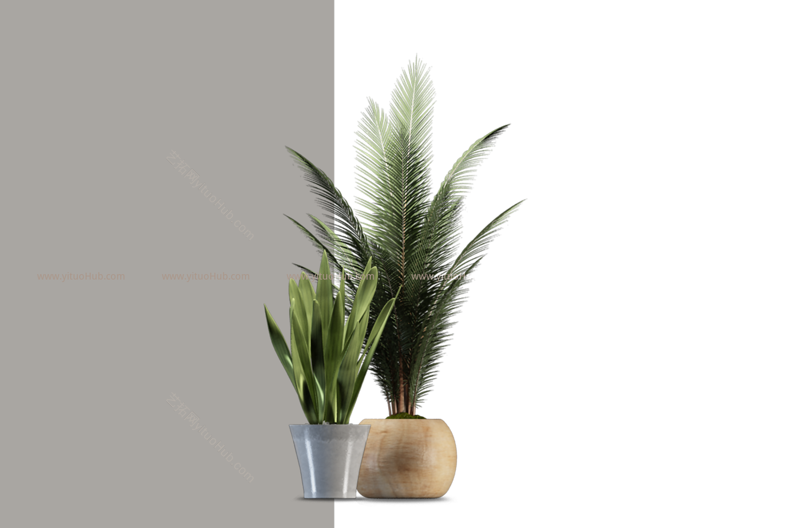 盆栽植物