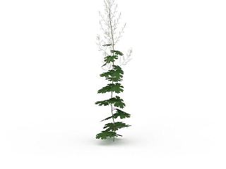 现代绿植模型