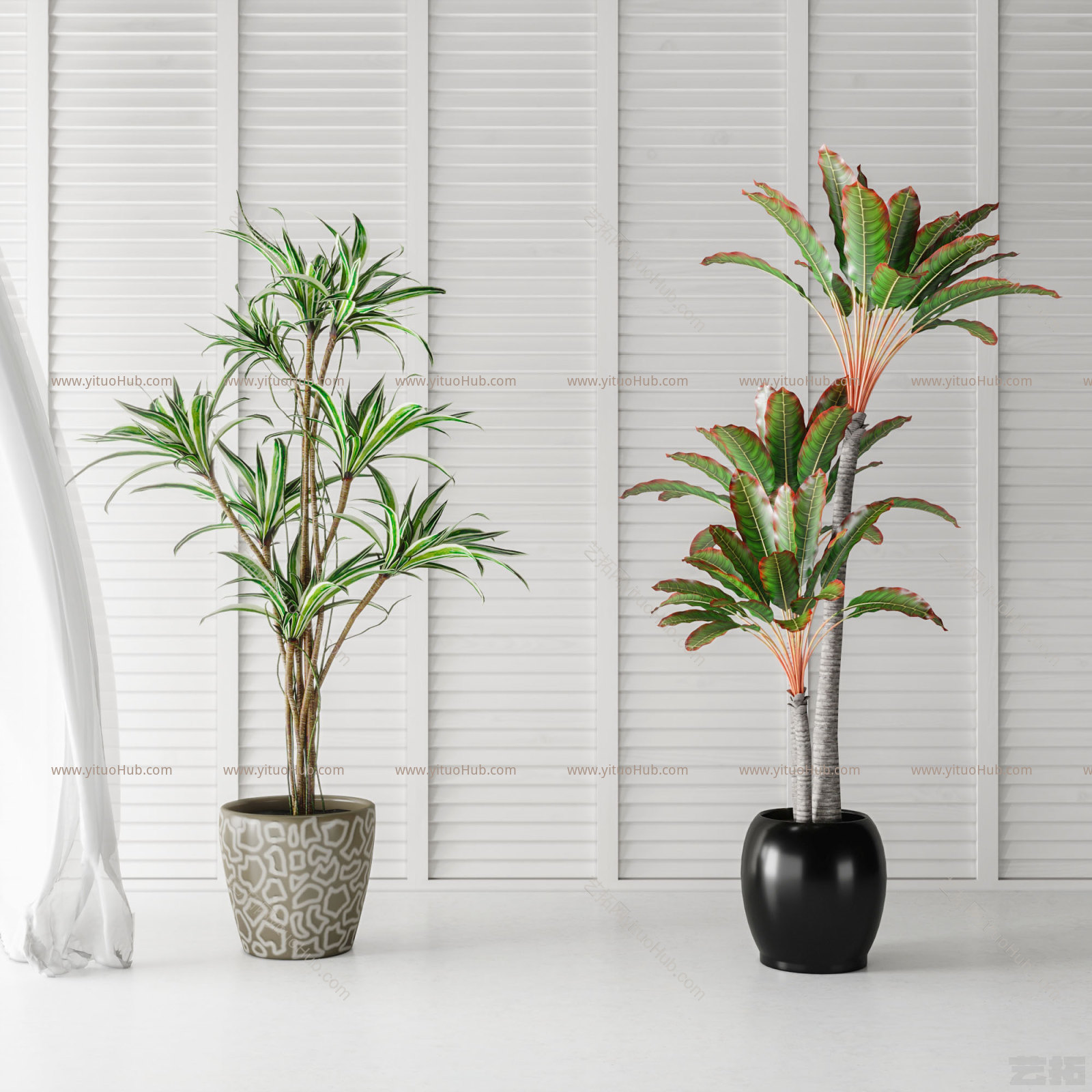 现代植物盆栽