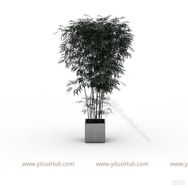 现代绿色室内植物模型