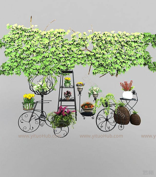 现代植物藤蔓模型
