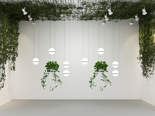 现代植物墙造型