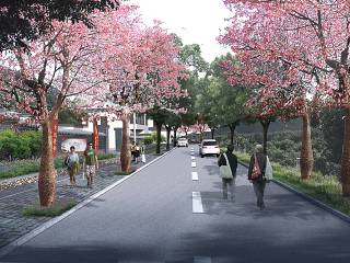 美丽乡村