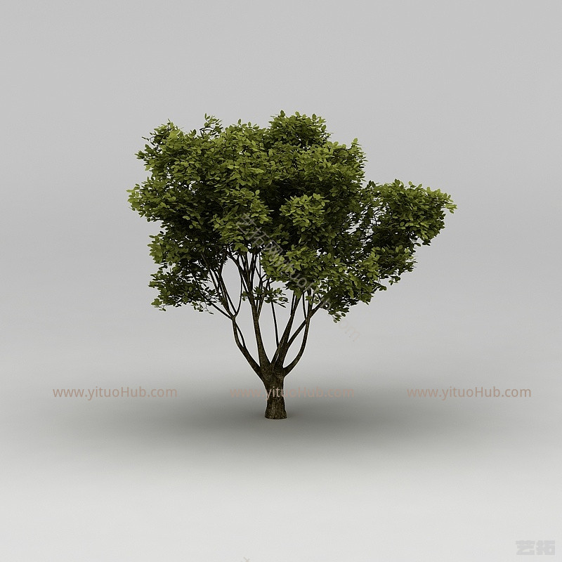 现代植物大树模型