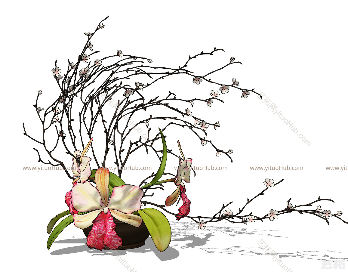 现代花盆,花卉 插花 花艺