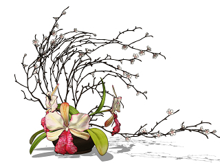 现代花盆,花卉 插花 花艺