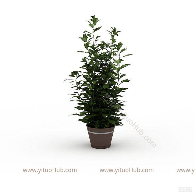 现代办公室绿植模型