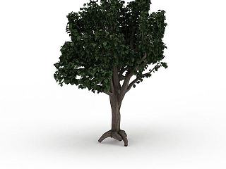 现代庭院观赏树木模型
