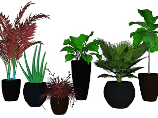 现代植物盆栽组合其他 花瓶 植物 画 饰品