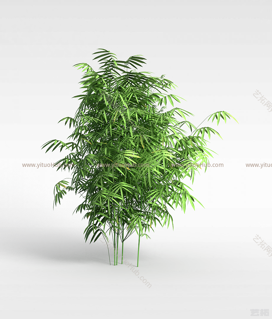 现代园林植物竹子模型