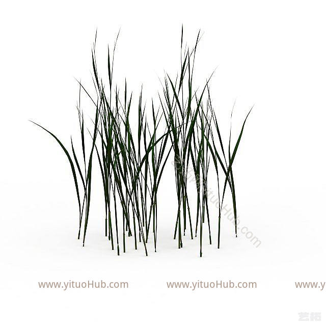现代野草模型