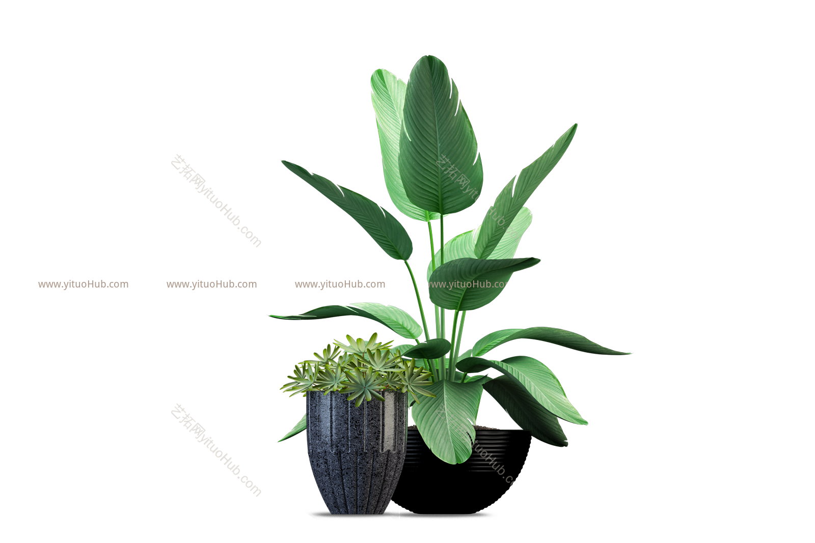 盆栽植物