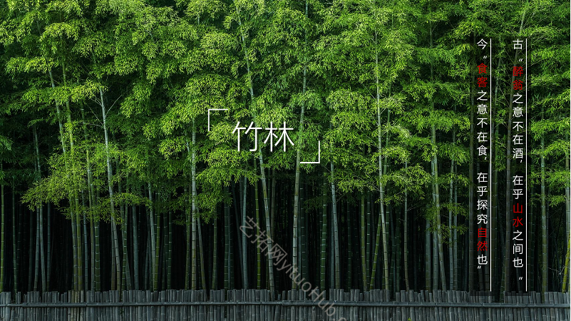 绍兴竹林餐厅景观方案设计