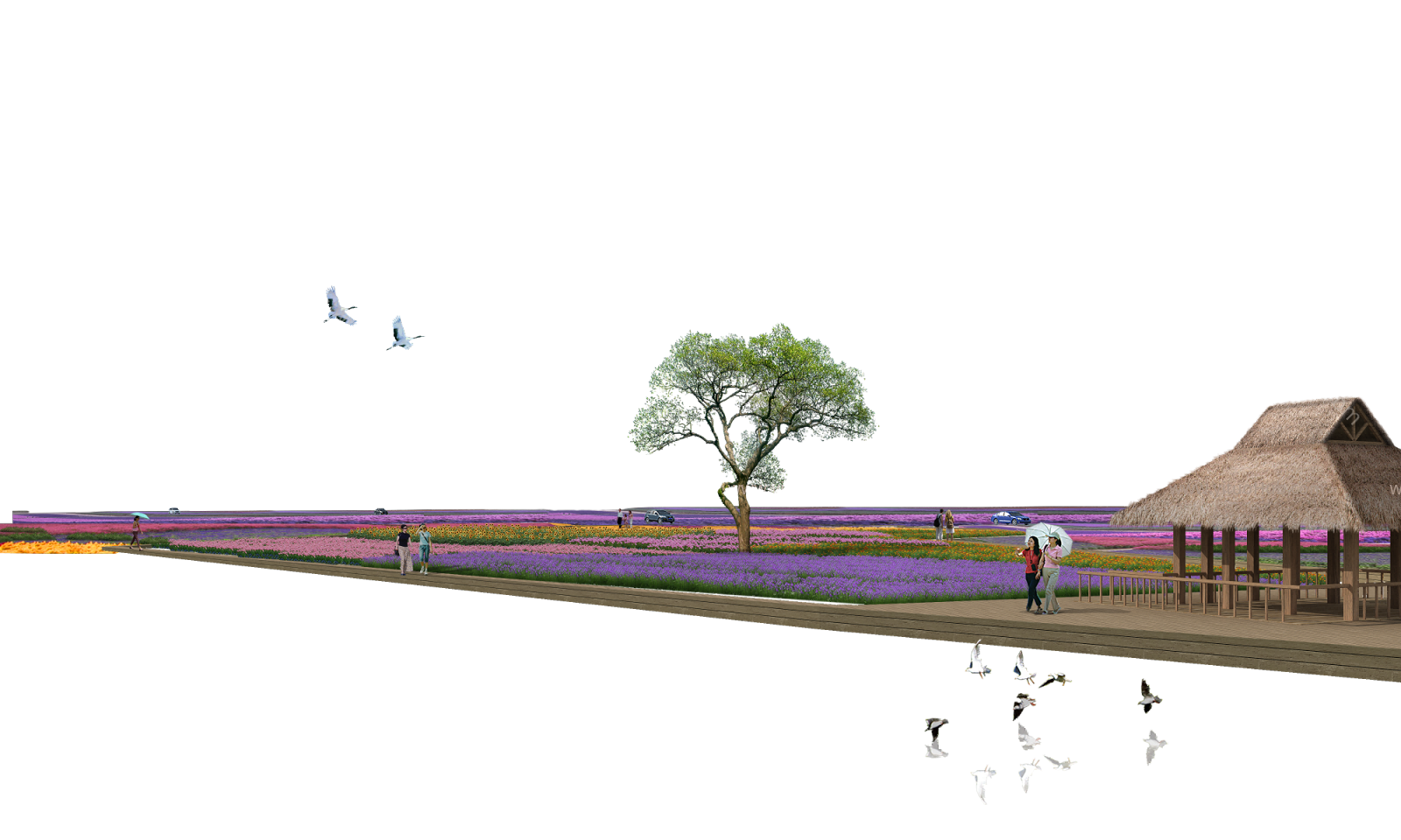 花海花田分层素材