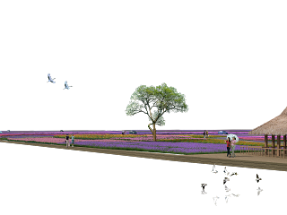 花海花田分层素材