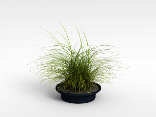 现代绿植盆栽模型