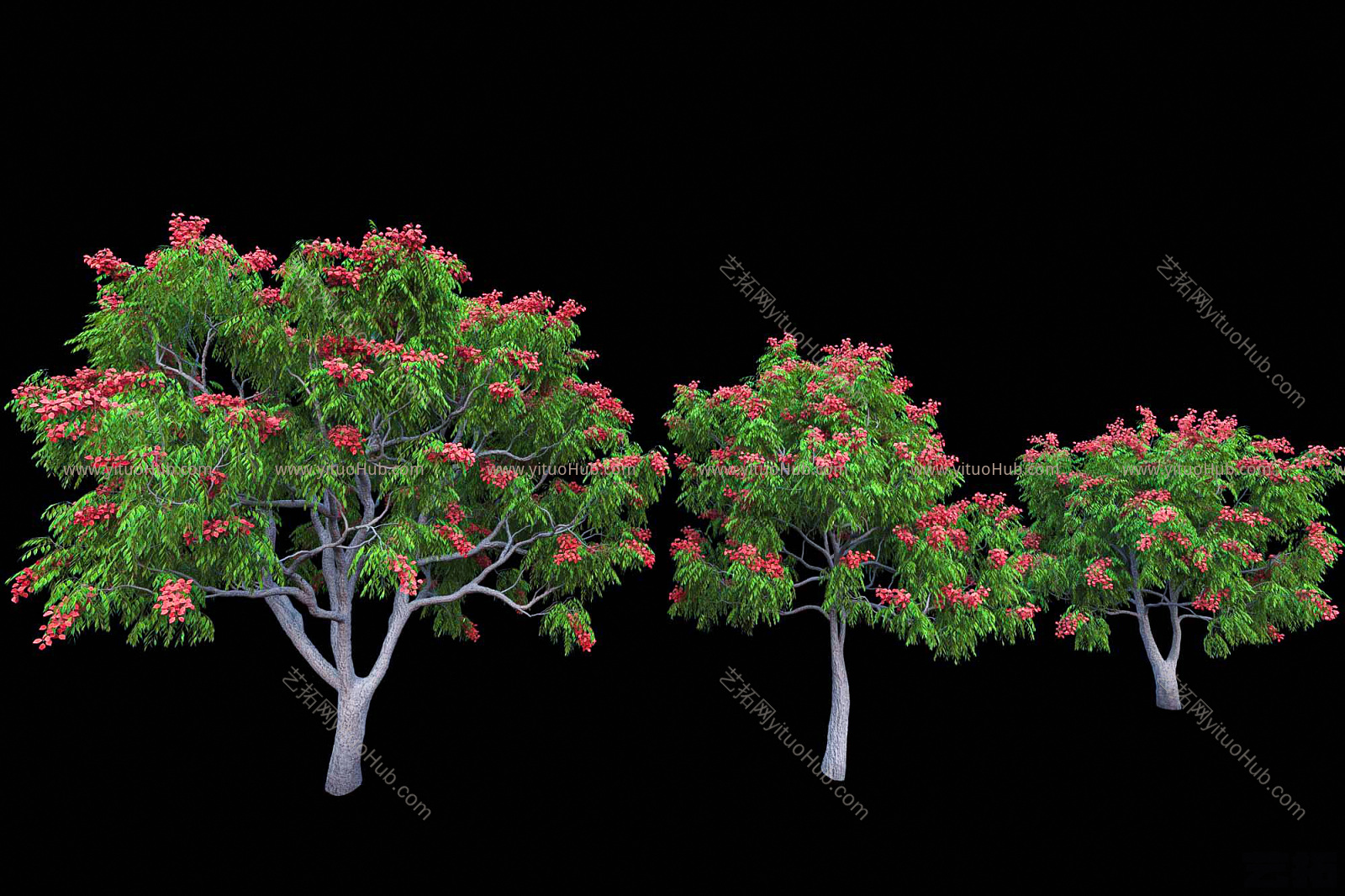 现代景观树3d