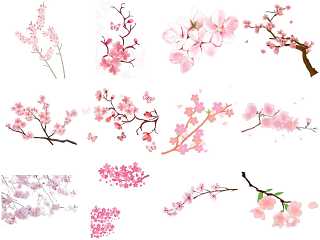 樱花免抠素材