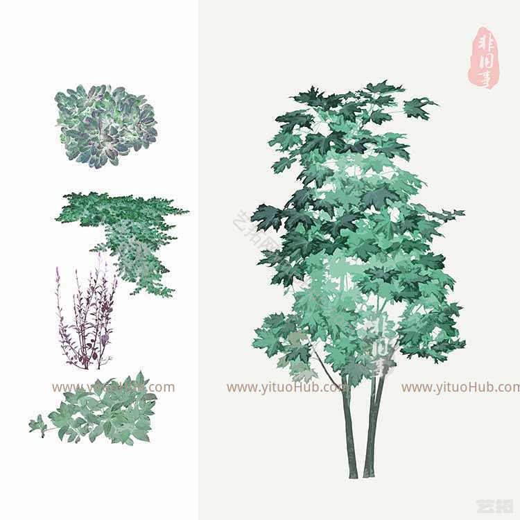 手绘灌木
