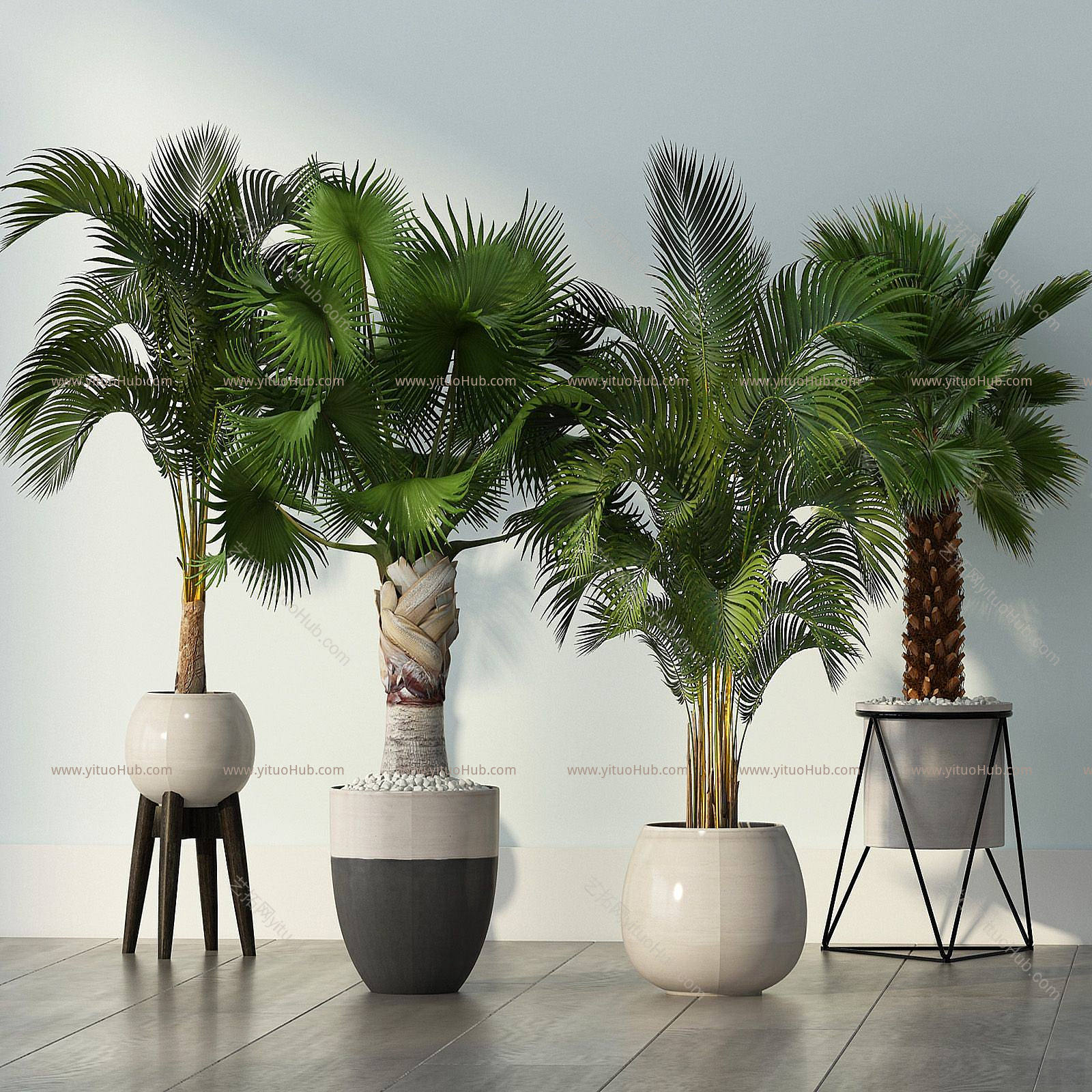现代室内植物盆景组合模型