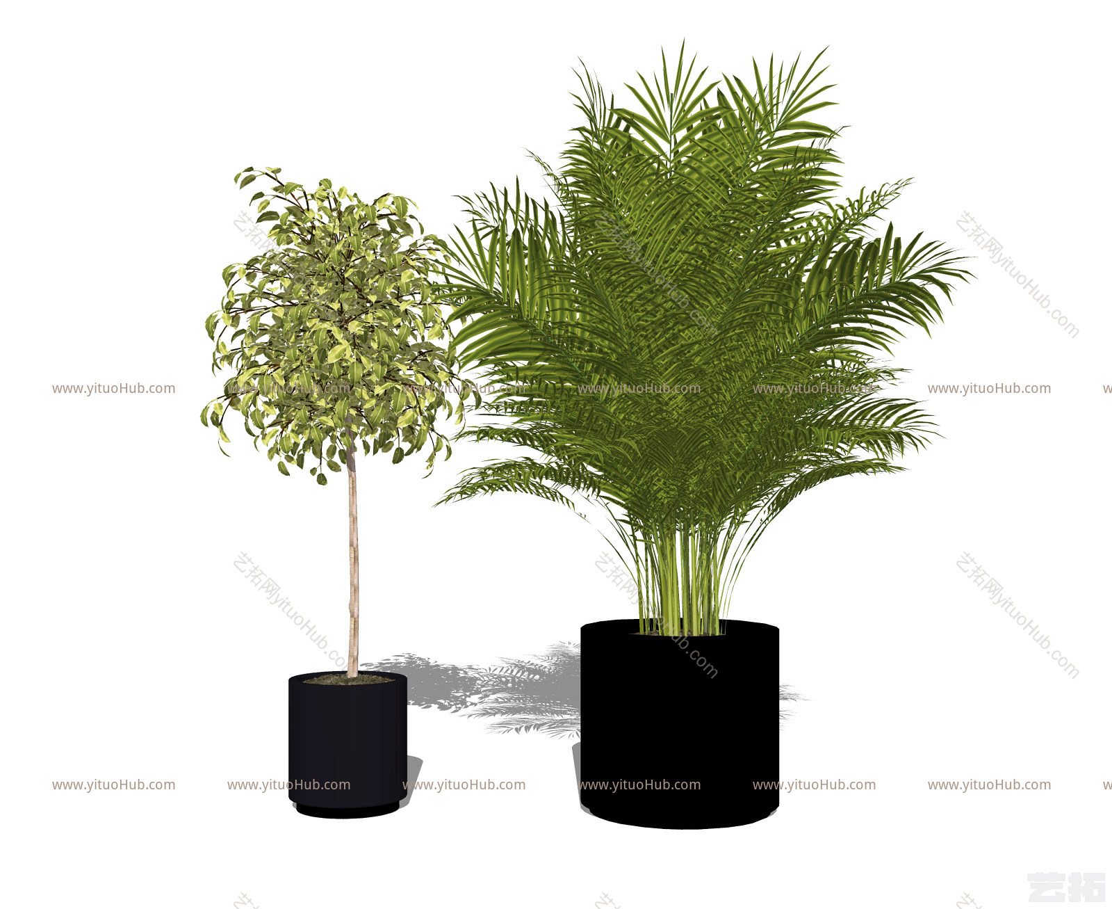 现代植物盆栽组合