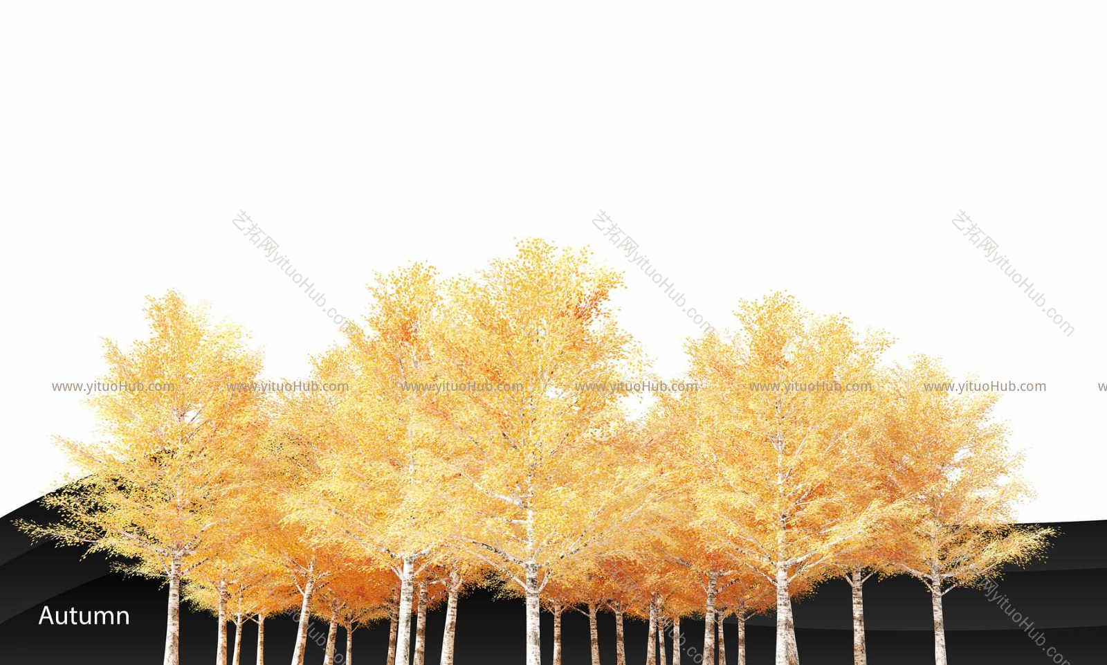 枫叶秋季园林景观高清植物