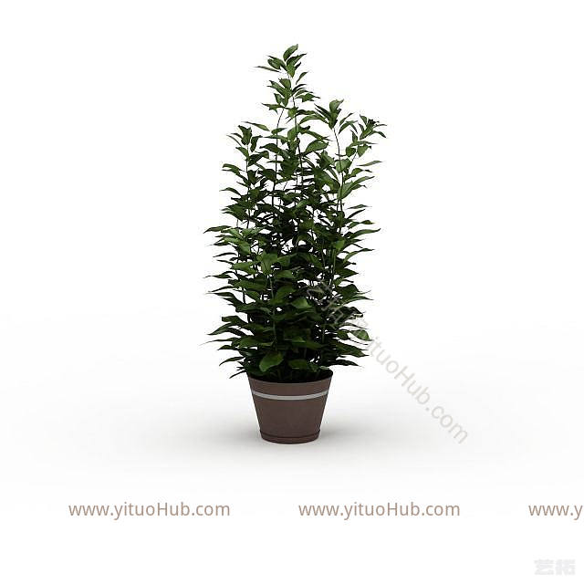 现代办公室绿植模型