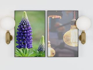 现代鲜花装饰画模型